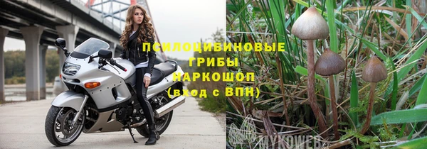 прущая мука Кодинск