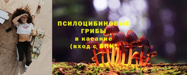 прущая мука Кодинск