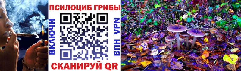 закладка  Самара  Галлюциногенные грибы мицелий 