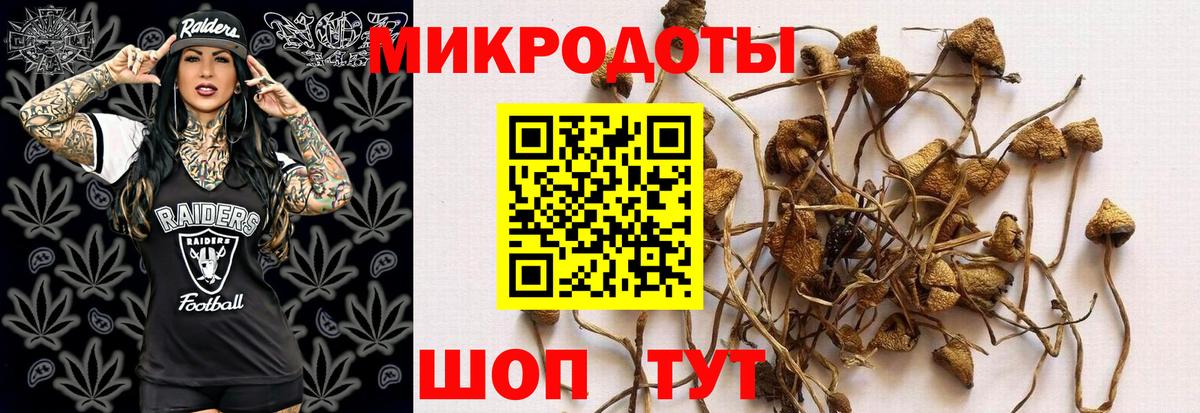 Галлюциногенные грибы Cubensis Самара