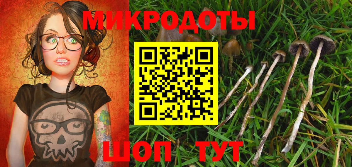 Самара  Псилоцибиновые грибы Psilocybine cubensis  наркотики  Вход с VPN  Галлюциногенные грибы Magic Shrooms 