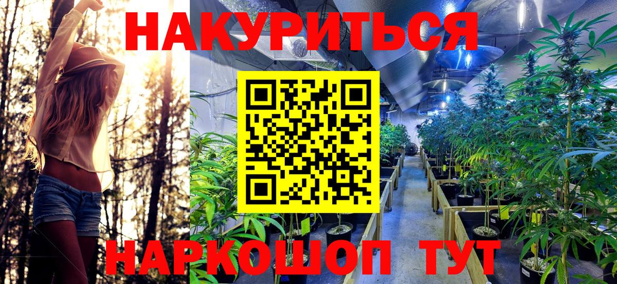 Каннабис сатива  Канабис SATIVA & INDICA  Канабис VHQ  Вход с VPN  Самара 